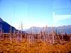 DSC03199.JPG