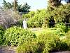DSC00268.JPG