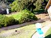 DSC00274.JPG