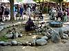 DSC01037.JPG