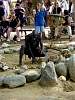 DSC01041.JPG