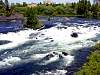 DSC01133.JPG