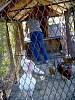 DSC01225.JPG
