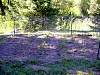 DSC01231.JPG