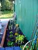 DSC01239.JPG