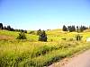 DSC01244.JPG