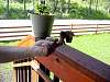 DSC01265.JPG