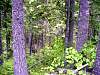 DSC01278.JPG