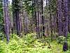 DSC01282.JPG