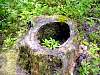 DSC01285.JPG