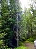 DSC01287.JPG