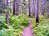 DSC01291.JPG
