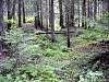 DSC01294.JPG