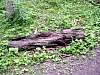 DSC01295.JPG