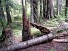 DSC01297.JPG