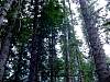 DSC01302.JPG
