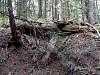 DSC01303.JPG