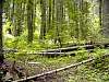 DSC01304.JPG