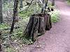 DSC01310.JPG