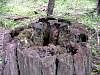 DSC01311.JPG