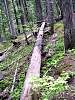 DSC01312.JPG