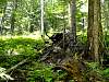 DSC01319.JPG