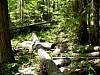 DSC01320.JPG