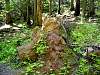 DSC01321.JPG