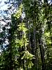 DSC01325.JPG