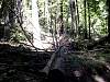 DSC01332.JPG