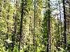 DSC01335.JPG