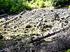 DSC01345.JPG