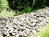 DSC01346.JPG