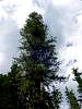 DSC01350.JPG
