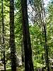 DSC01358.JPG
