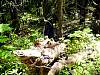 DSC01360.JPG