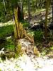 DSC01362.JPG