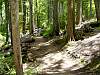 DSC01365.JPG