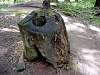DSC01370.JPG