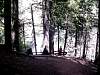 DSC01371.JPG