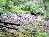 DSC01397.JPG