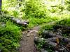 DSC01402.JPG