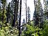 DSC01403.JPG