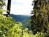 DSC01407.JPG