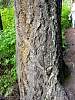 DSC01430.JPG