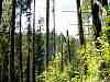 DSC01437.JPG