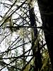 DSC01439.JPG