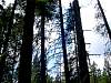 DSC01442.JPG