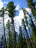 DSC01446.JPG