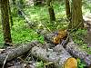 DSC01449.JPG